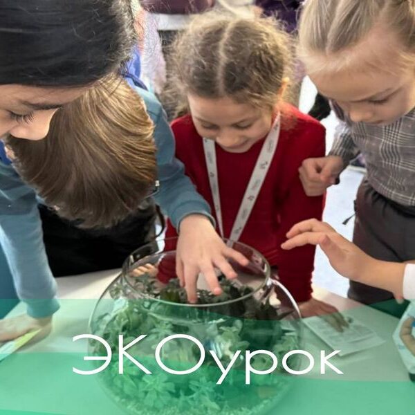 ЭКОурок