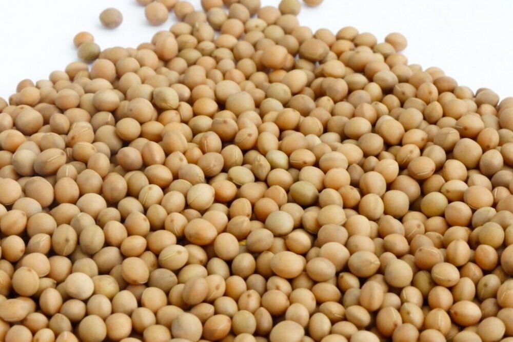 производство колбасы