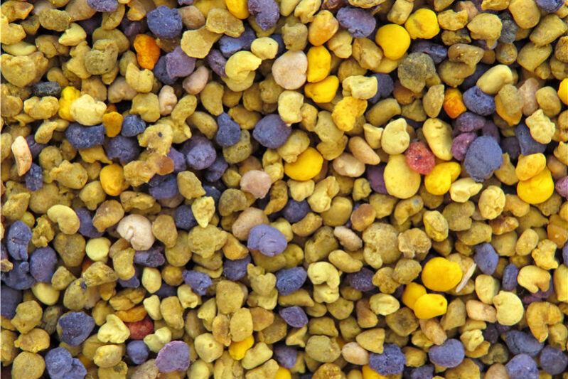 производство колбасы