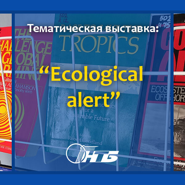 английская библиотека
