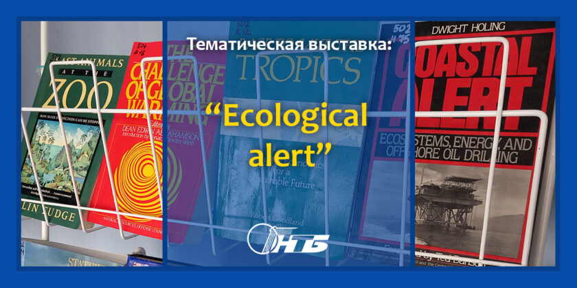 английская библиотека