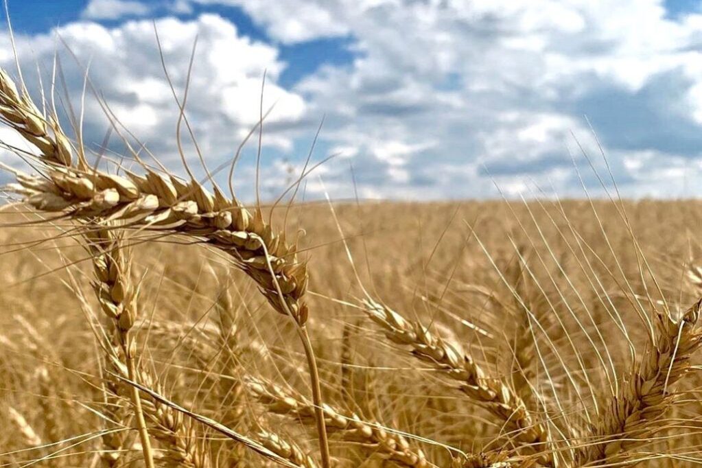 к 75-летию Производственного кооператива имени В.И. Кремко