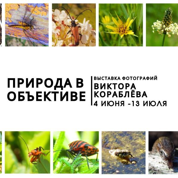 Фотовыставка В. В. Кораблёва «Природа в объективе»