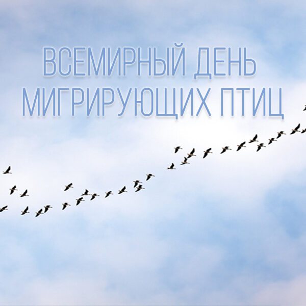 3_10.05.23