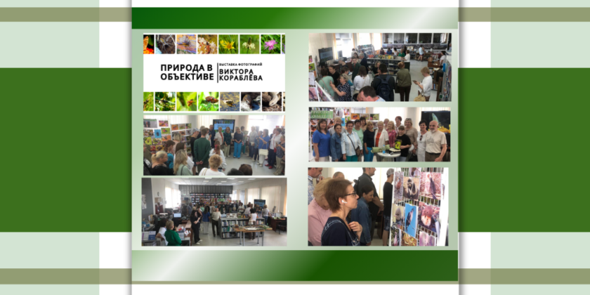 Фотовыставка Виктора Кораблёва «Природа в объективе»