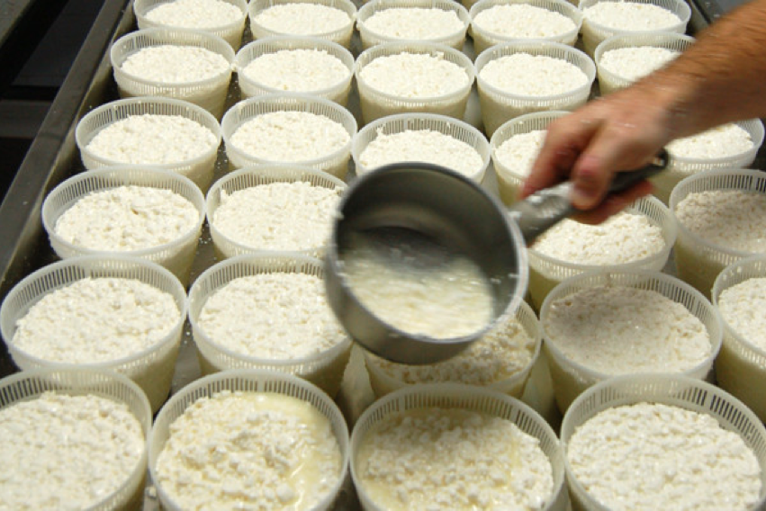 Методы и технологии переработки молока