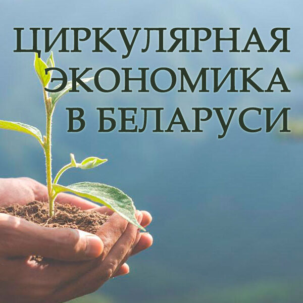 Национальная стратегия развития экономики
