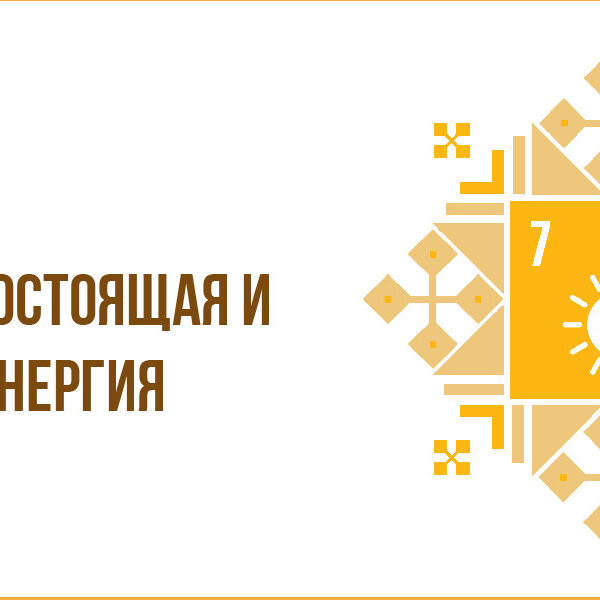 7 цель
