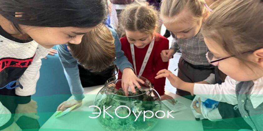 эковикторина