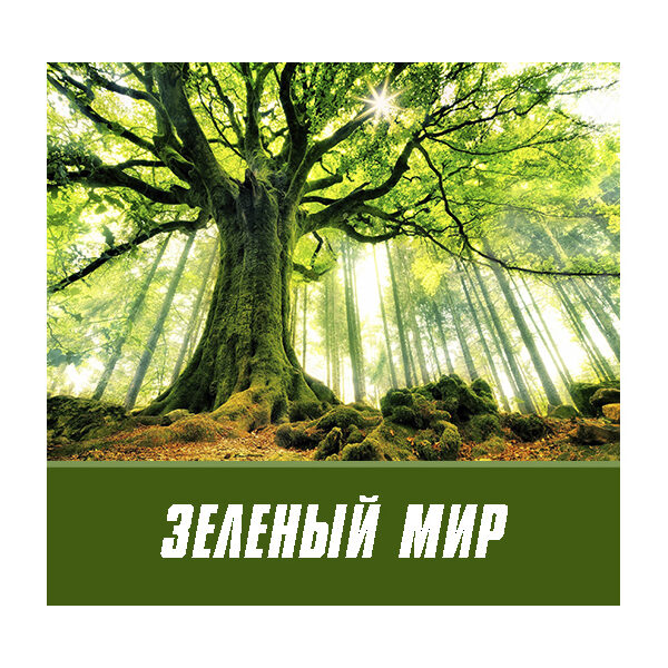 день леса