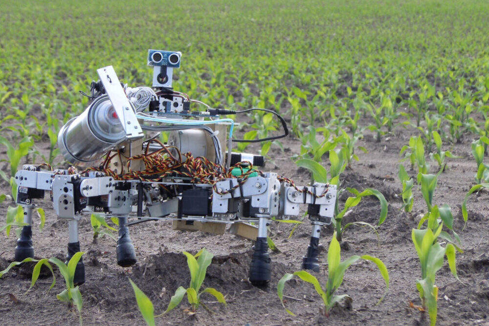 ОАО «Управляющая компания холдинга «Бобруйскагромаш»