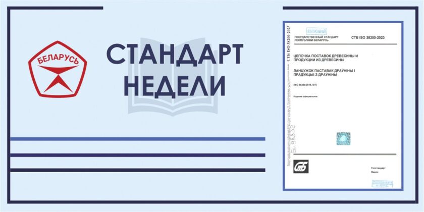 Стандарт недели: СТБ ISO 38200-2023 «Цепочка поставок древесины и продукции из древесины»