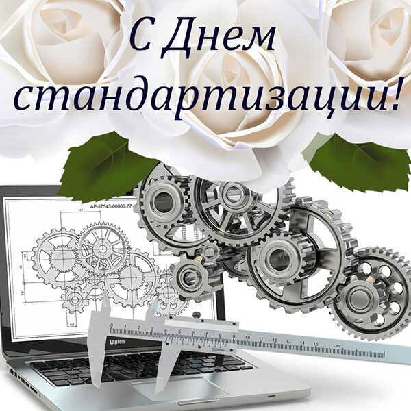 день стандартизации