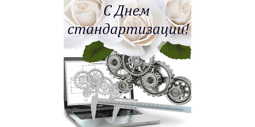 день стандартизации