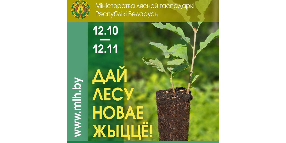 1_21.10.24 республиканская добровольная акция «Дай лесу новае жыццё!»