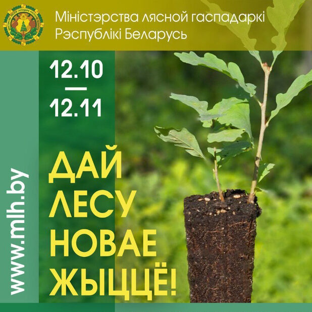 1_21.10.24 республиканская добровольная акция «Дай лесу новае жыццё!»