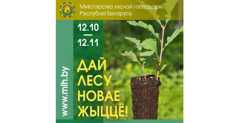республиканская добровольная акция «Дай лесу новае жыццё!»