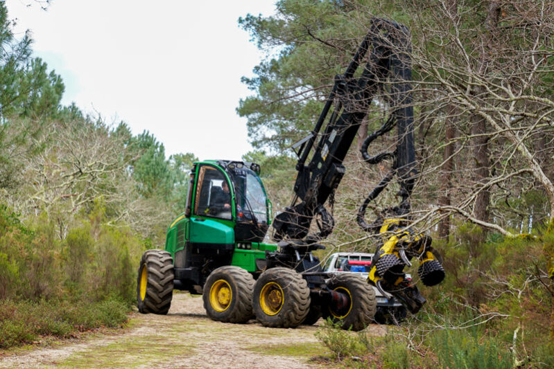 Темобзор "Лесные машины"