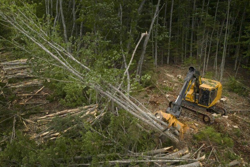 Темобзор "Лесные машины"