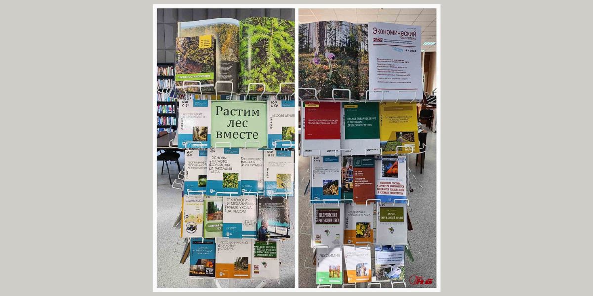 тематическая выставка «Растим лес вместе!»