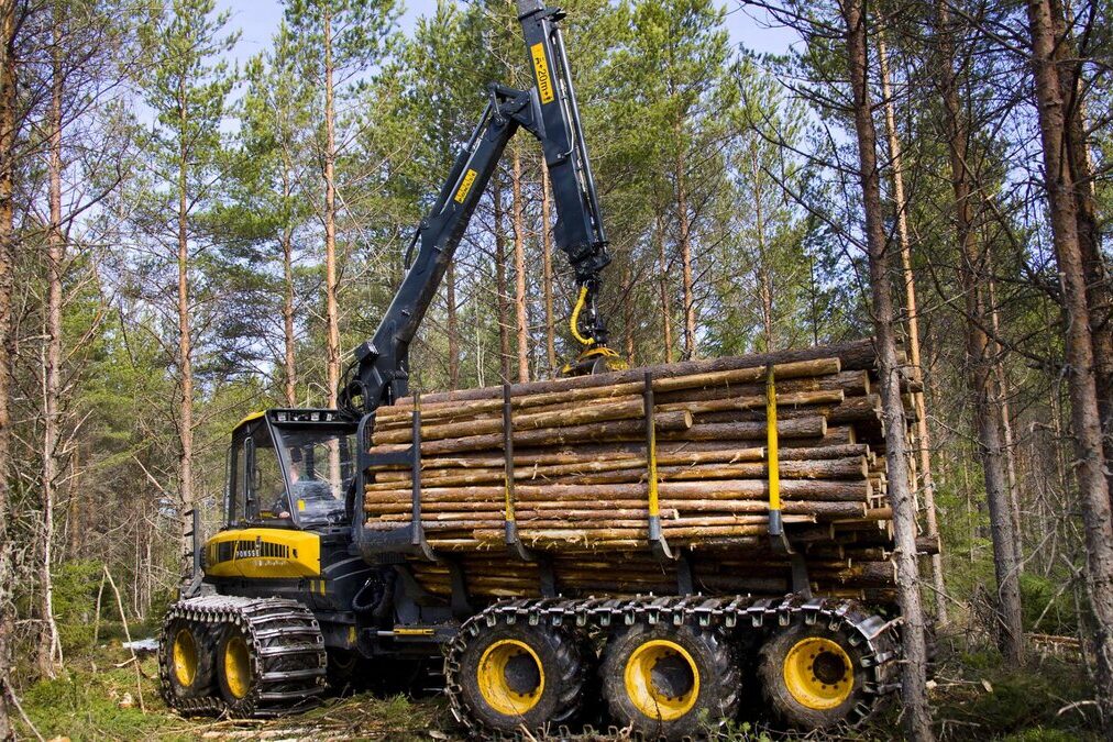 Темобзор "Лесные машины"