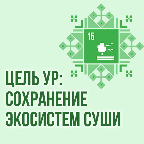 ЦУР 15