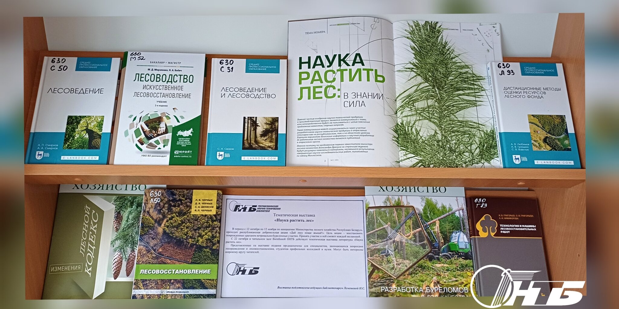 выставка «Наука растить лес»