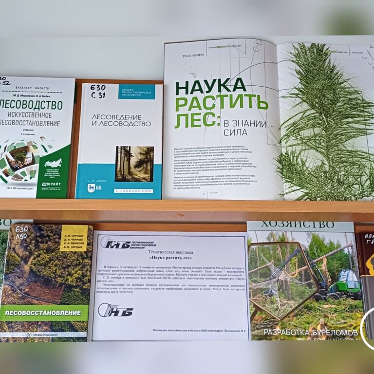 2_22.10.24 выставка «Наука растить лес»