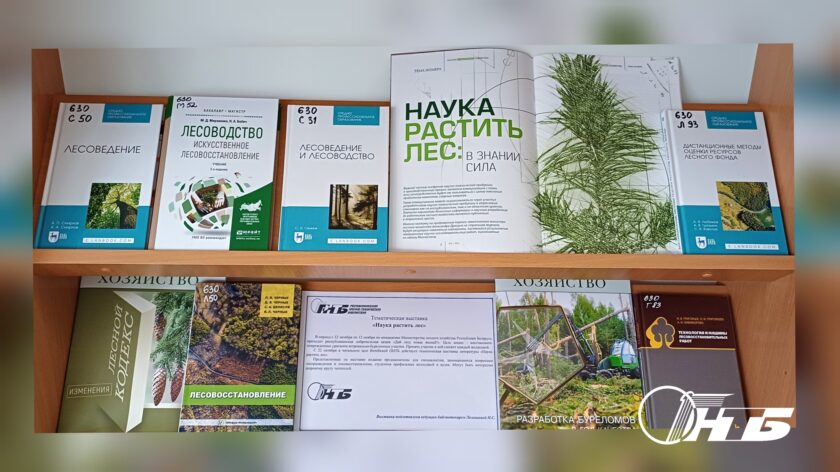 выставка «Наука растить лес»