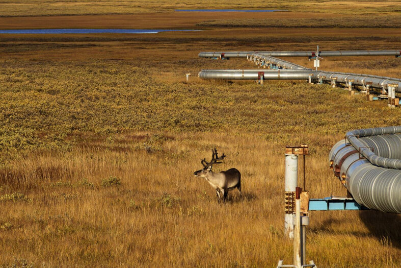 Тематический обзор "Магистральные нефтепроводы"