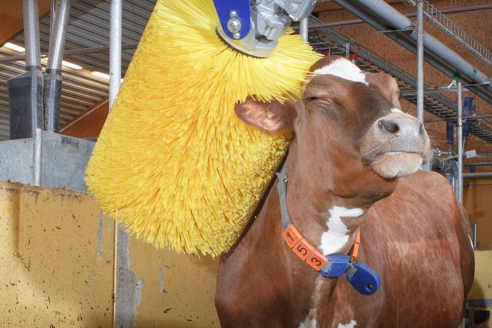 Сельскохозяйственное оборудование для животноводства и птицеводства