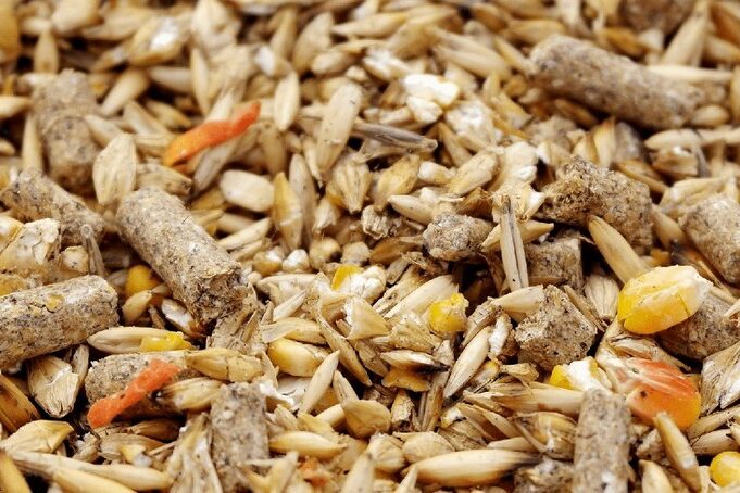 Сельскохозяйственное оборудование для животноводства и птицеводства