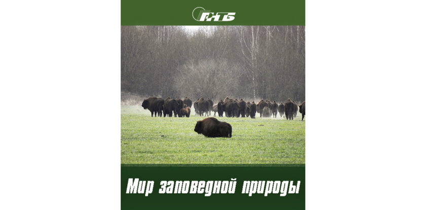заповедники Беларуси