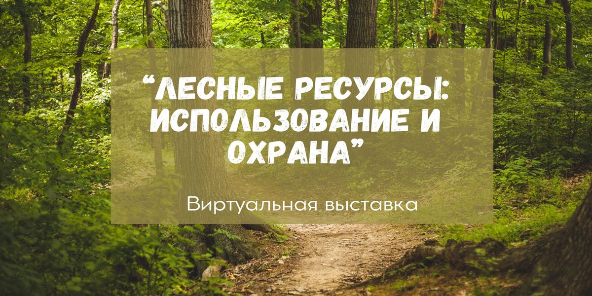 гомельский филиал РНТБ