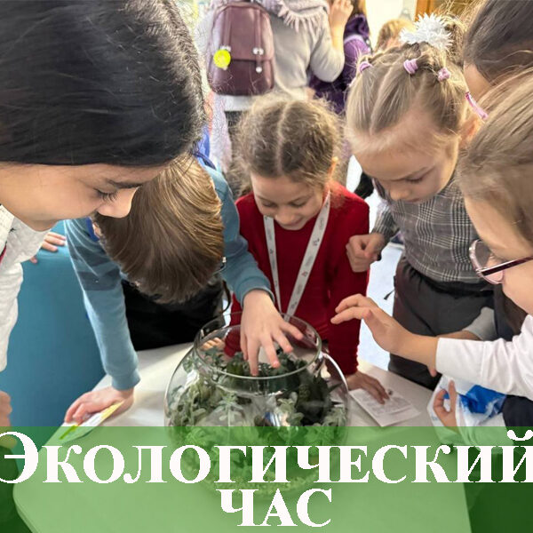 банер эко Экологический час «ЭКОбудущее начинается сегодня»