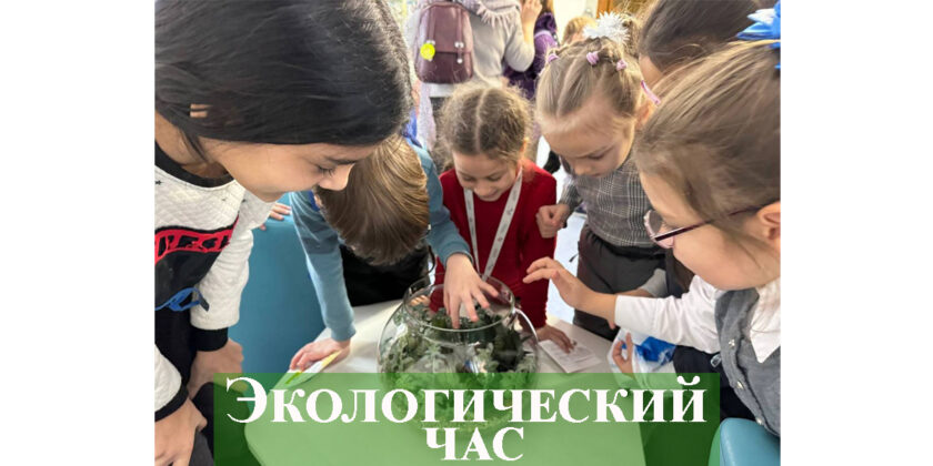 Экологический час «ЭКОбудущее начинается сегодня»