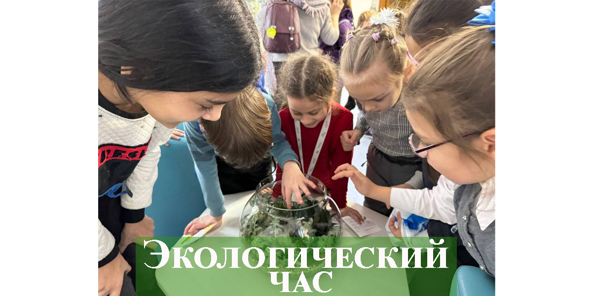 Экологический час «ЭКОбудущее начинается сегодня»