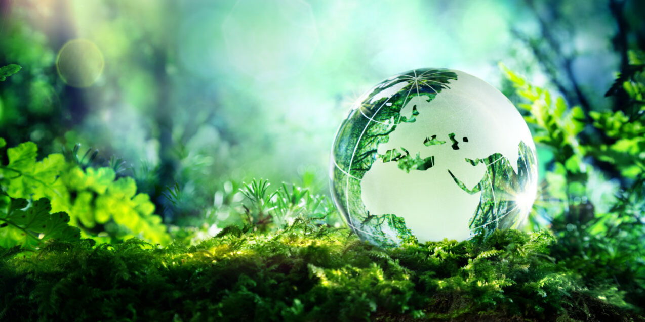 тематическая выставка «Осторожно, нас окружает среда»