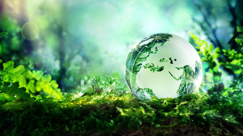 тематическая выставка «Осторожно, нас окружает среда»