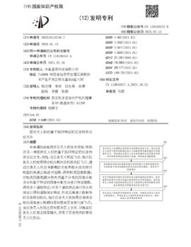 CN119536354 CN119536354