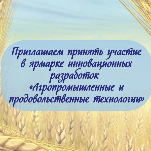 баннер_30.07.25