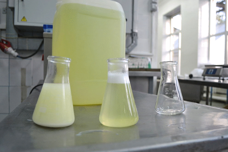 Дымар, О. В. Изучение возможности получения глубокодеминерализованной молочной сыворотки