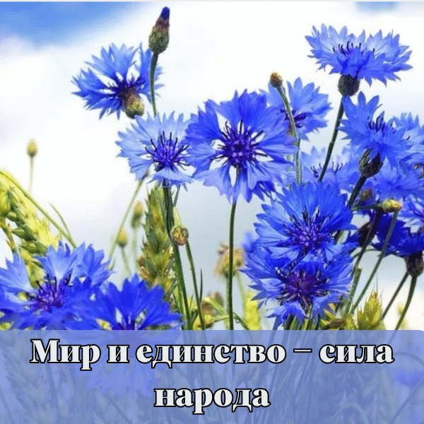 Тематическая выставка «Мир и единство – сила народа»