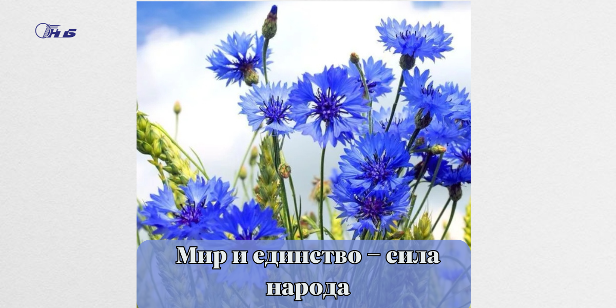 Тематическая выставка «Мир и единство – сила народа»