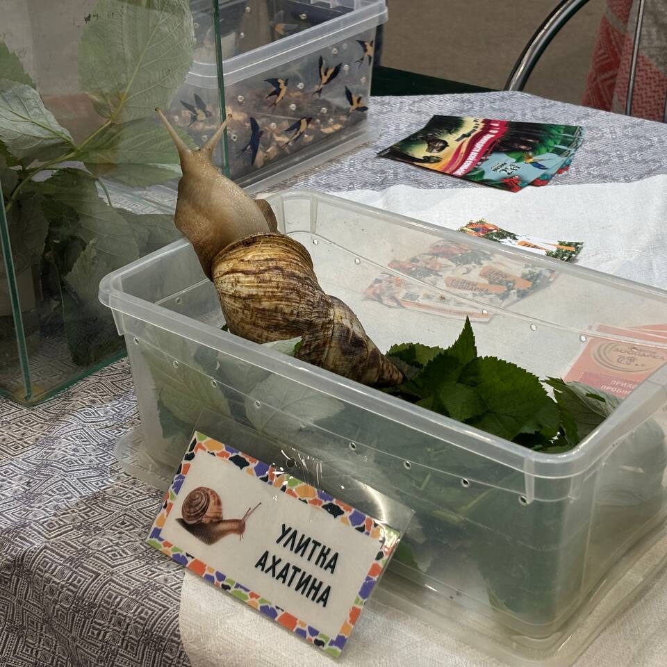 РНТБ принимает участие в III-й Международной специализированной экологической выставке «ECOLOGY ЕХРО-2025»