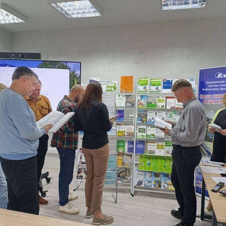 День информации