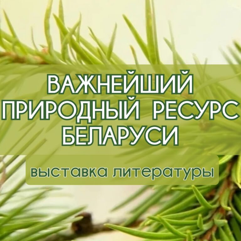 лес