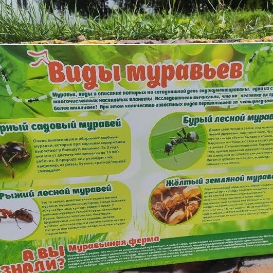 детские площадки