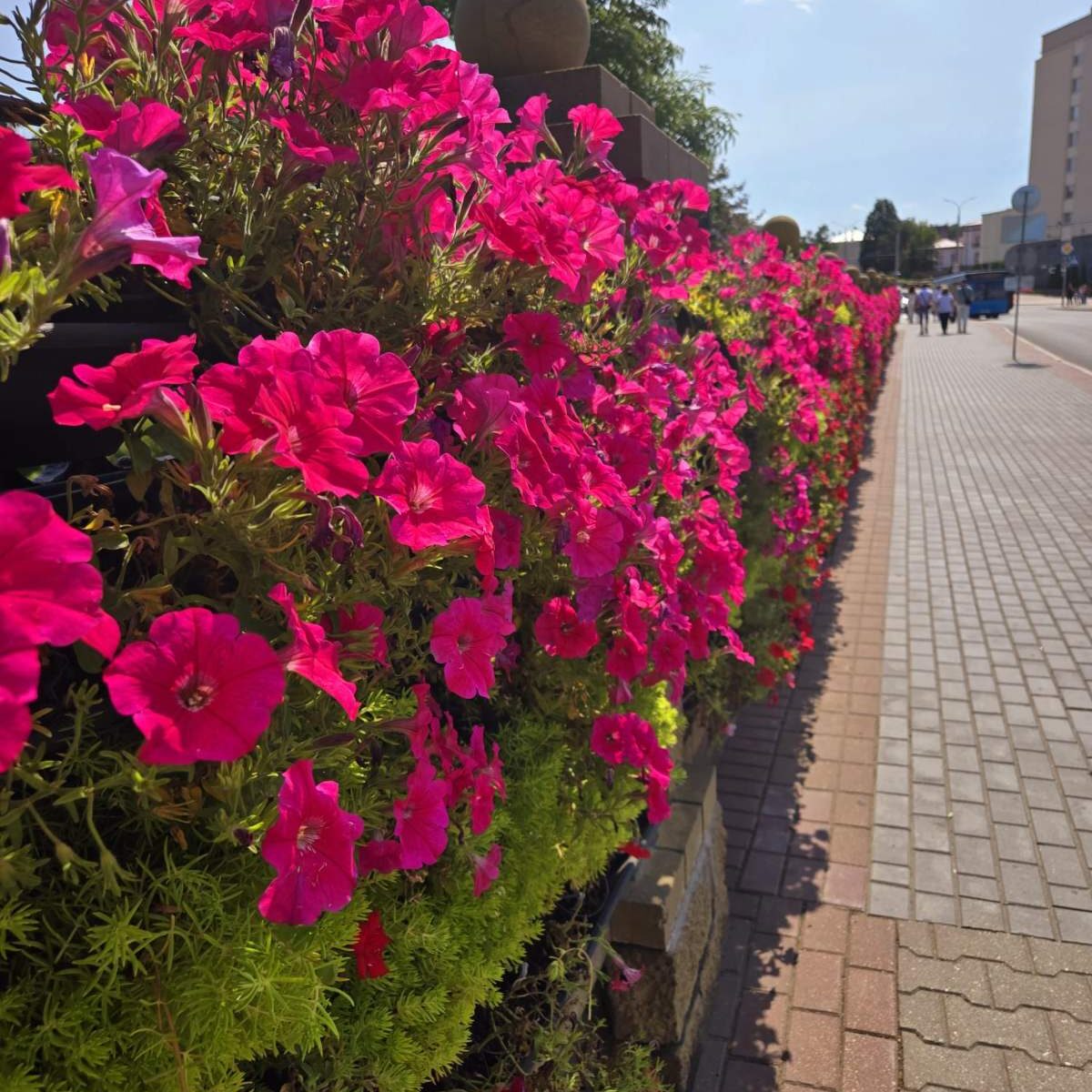 Благоустройство Гродно