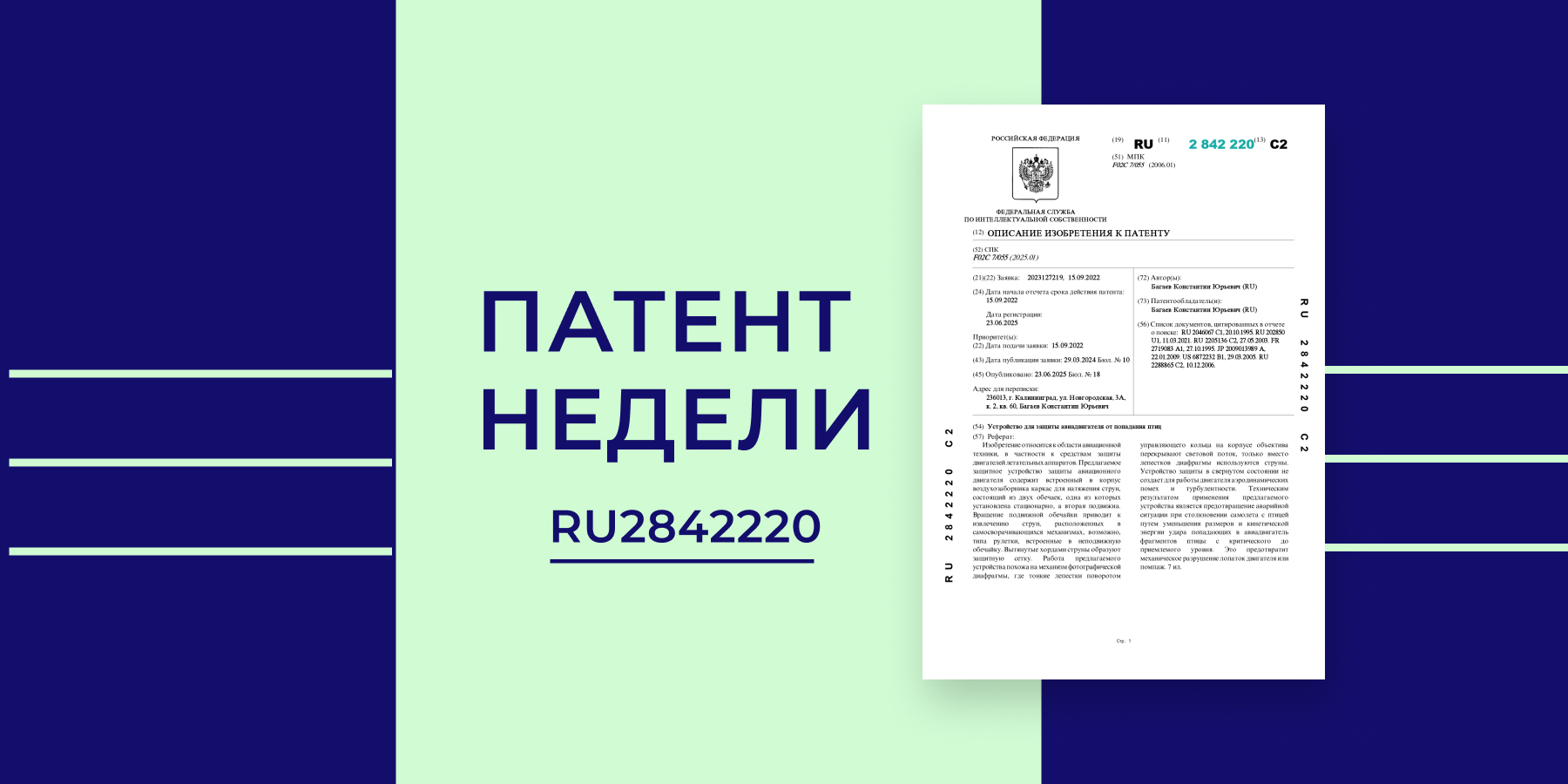 Устройство для защиты авиадвигателя от попадания птиц